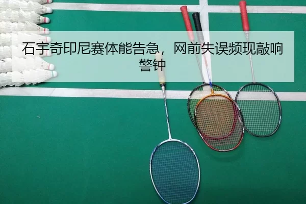 shi-yu-qi-yin-ni-sai-ti-neng-gao-ji-wang-qian-shi-wu-pin-xian-qiao-xiang-jing-zhong-2-592.jpg
