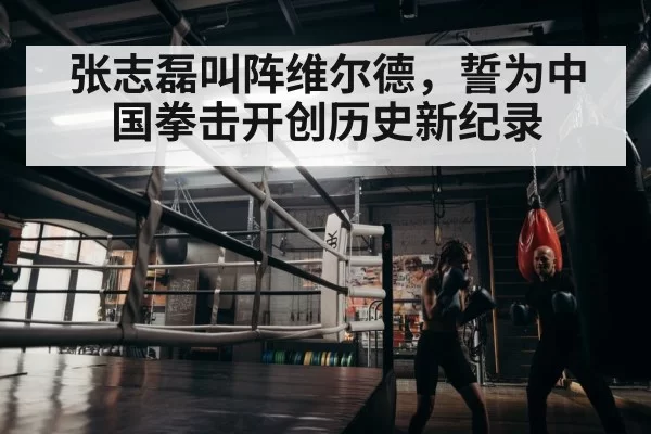 张志磊叫阵维尔德，誓为中国拳击开创历史新纪录